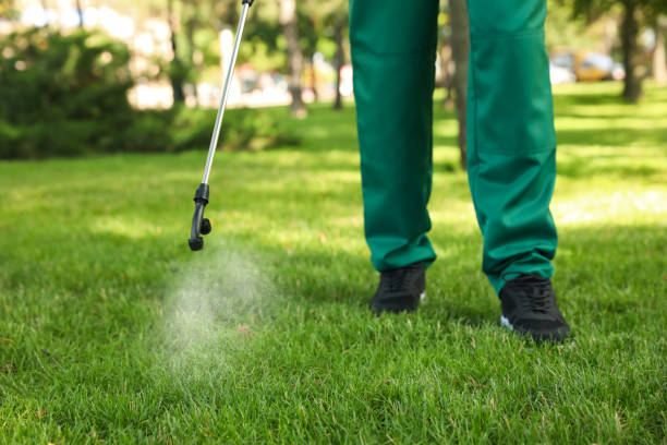 Best Flea Control Services  in Belmont, PA