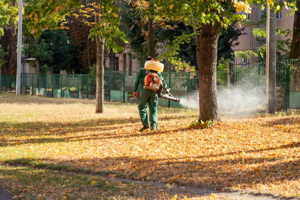 Best Pest Removal Services  in Belmont, PA