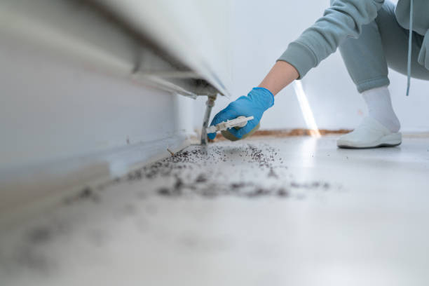 Best Residential Pest Control  in Belmont, PA
