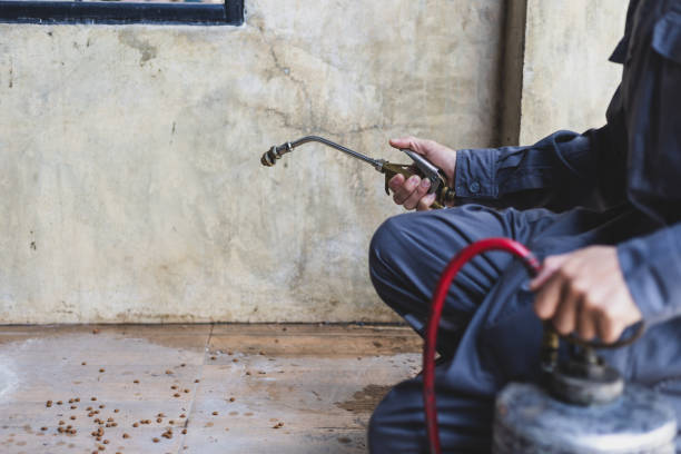 Best Pest Control for Businesses  in Belmont, PA
